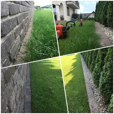 F ogrodnicza „Horto Group Łukasz Szpila